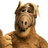 ALF